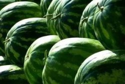 吃瓜最新鲜,吃瓜群众速看！最新鲜的瓜料盘点