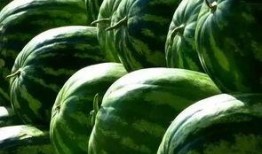 吃瓜最新鲜,吃瓜群众速看！最新鲜的瓜料盘点