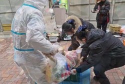 抗击疫情吃瓜视频