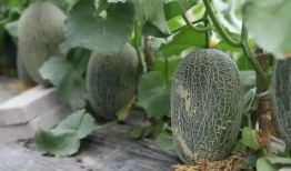 带你吃瓜7月,7月娱乐圈热点事件大盘点